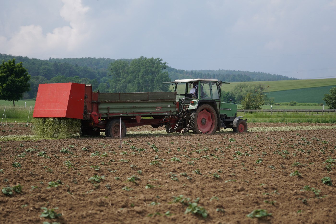Mulchausbringung per Miststreuer