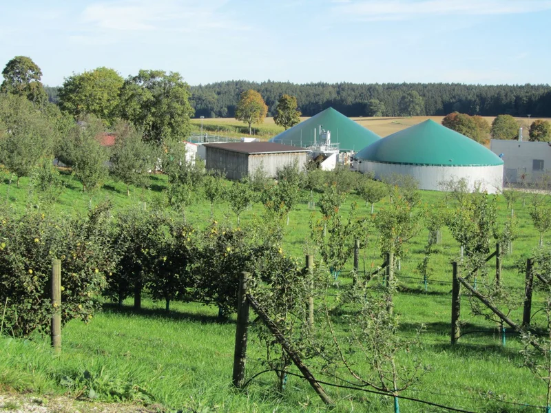 Obstbäume