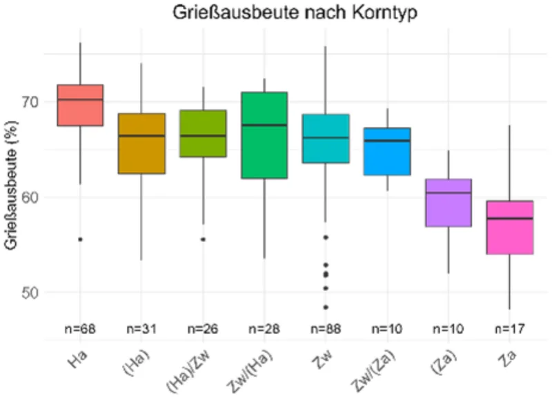 Grafik zur Grießausbeute nach Korntyp. Klick führt zu Großansicht im neuen Fenster.