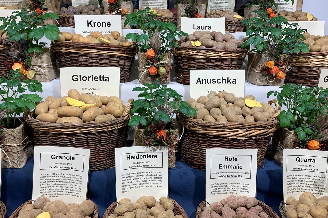 Verschiedene Kartoffelsorten in Körben. Foto: Jutta Schneider-Rapp