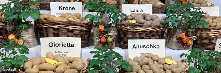 Verschiedene Kartoffelsorten in Körben.