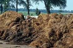 Was bringen Bio-Dünger in der Landwirtschaft?