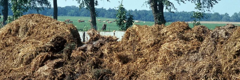 Misthaufen in der Landschaft, ein Bio-Dünger in der Landwirtschaft.
