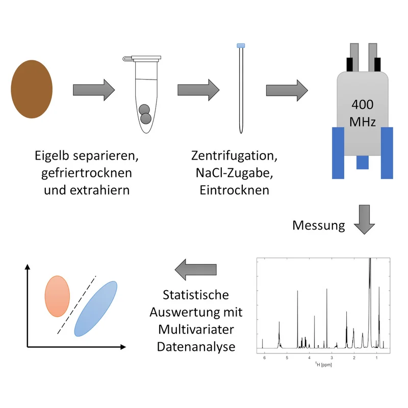 Grafik des Nachweises der Haltungsform mit NMR-Spektroskopie.