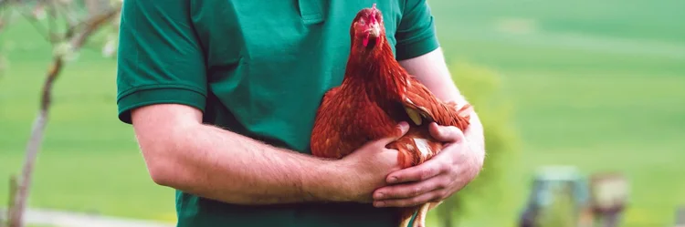 Mann mit Huhn auf dem Arm
