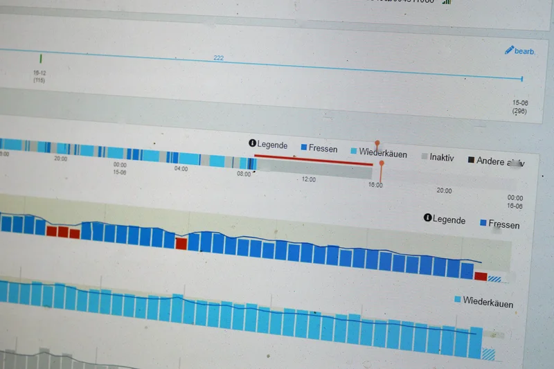 Anzeige der Kuhaktivität. Klick führt zu Großansicht im neuen Fenster.