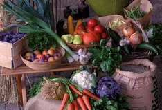 Biolandhof Voigt