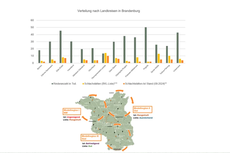 Anzahl Betriebe und Bewertung der Modellregionen in Brandenburg. Klick führt zu Großansicht im neuen Fenster.