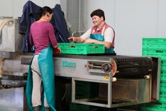 Zwei Frauen an einem Waschband in der Gemüseverarbeitung. Klick führt zu Großansicht.
