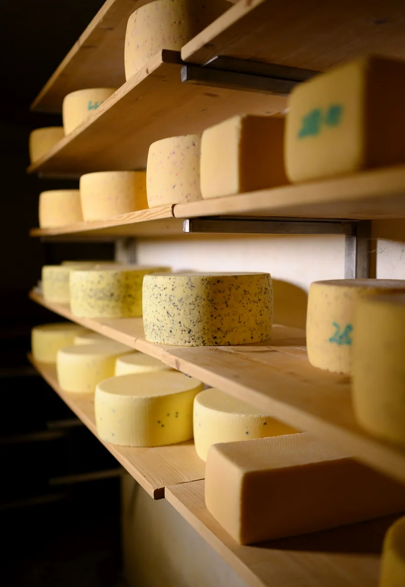 Käse
