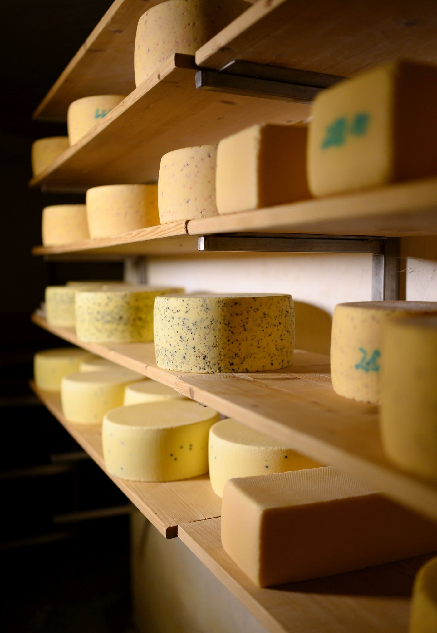 Käse