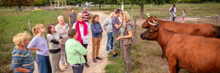 Eine Gruppe von Menschen steht auf einem Feldweg und schaut auf zwei Rinder hinter einem Zaun. 