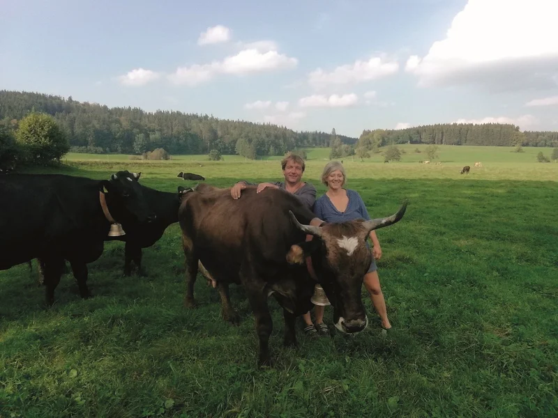 Auf der Weide