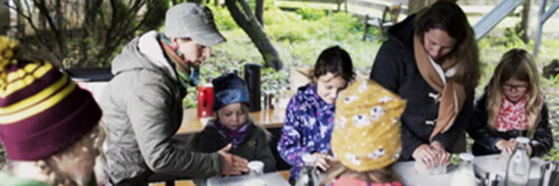 Programm im Schlossparkfest.
