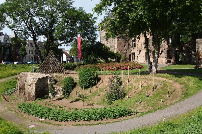 Obstbäume und Bohnen vor der Stadtmauer. Klick führt zu Großansicht im neuen Fenster.