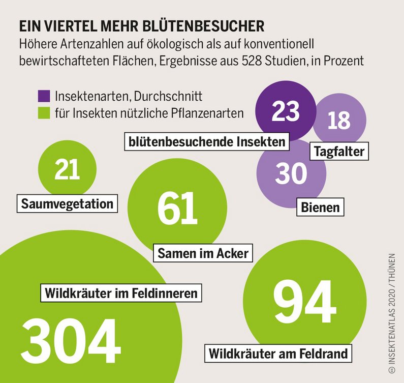 Grafik Vergleich Insektenartenzahl zwischen Öko- und konventioneller Landwirtschaft. Klick führt zu Großansicht in neuem Fenster.