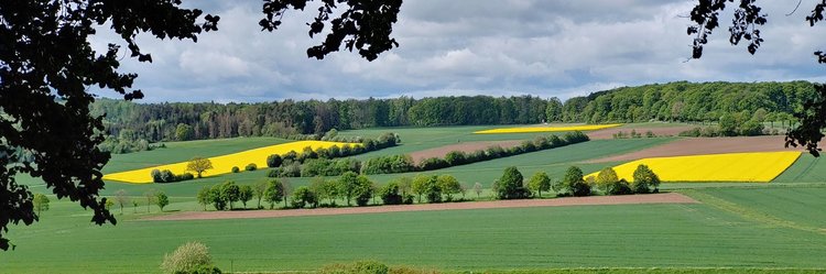 Landschaft in Nordhessen. 
