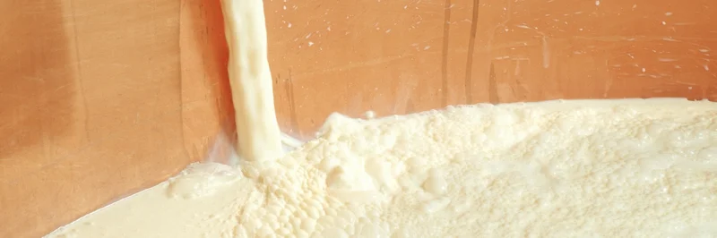 Milch wird in einen Bottich gefüllt. 