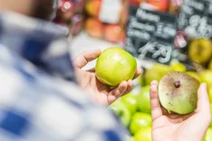 Lebensmittelverschwendung reduzieren