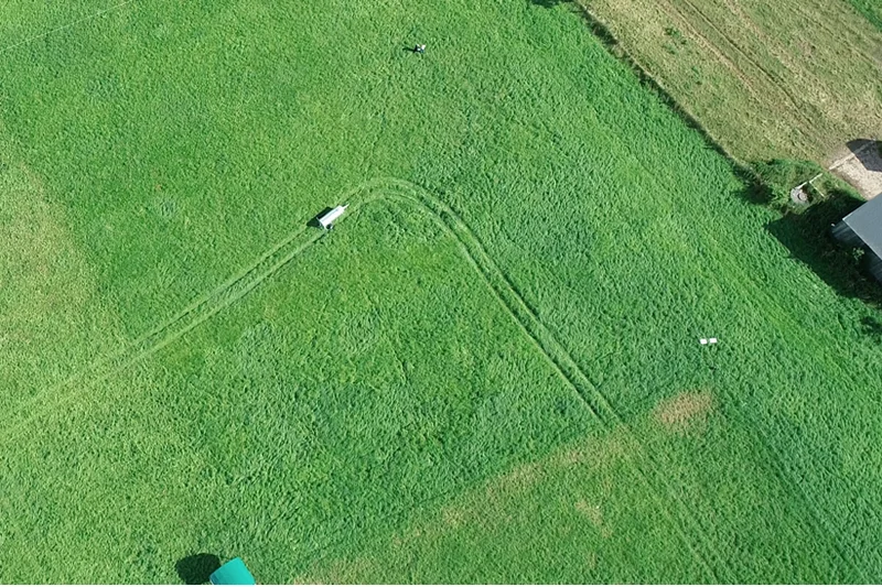 Weide mit virtuellen Zäunen aus der Vogelperspektive. Quelle: Universität Göttingen