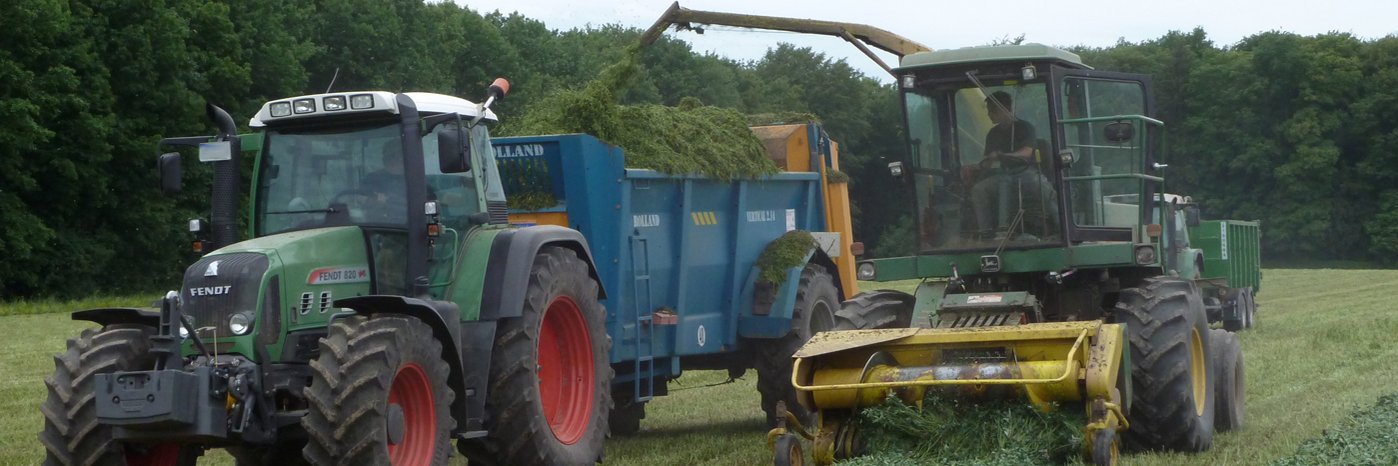 Ein Feldhäcksler mit einem Traktor und Anhänger im Einsatz.