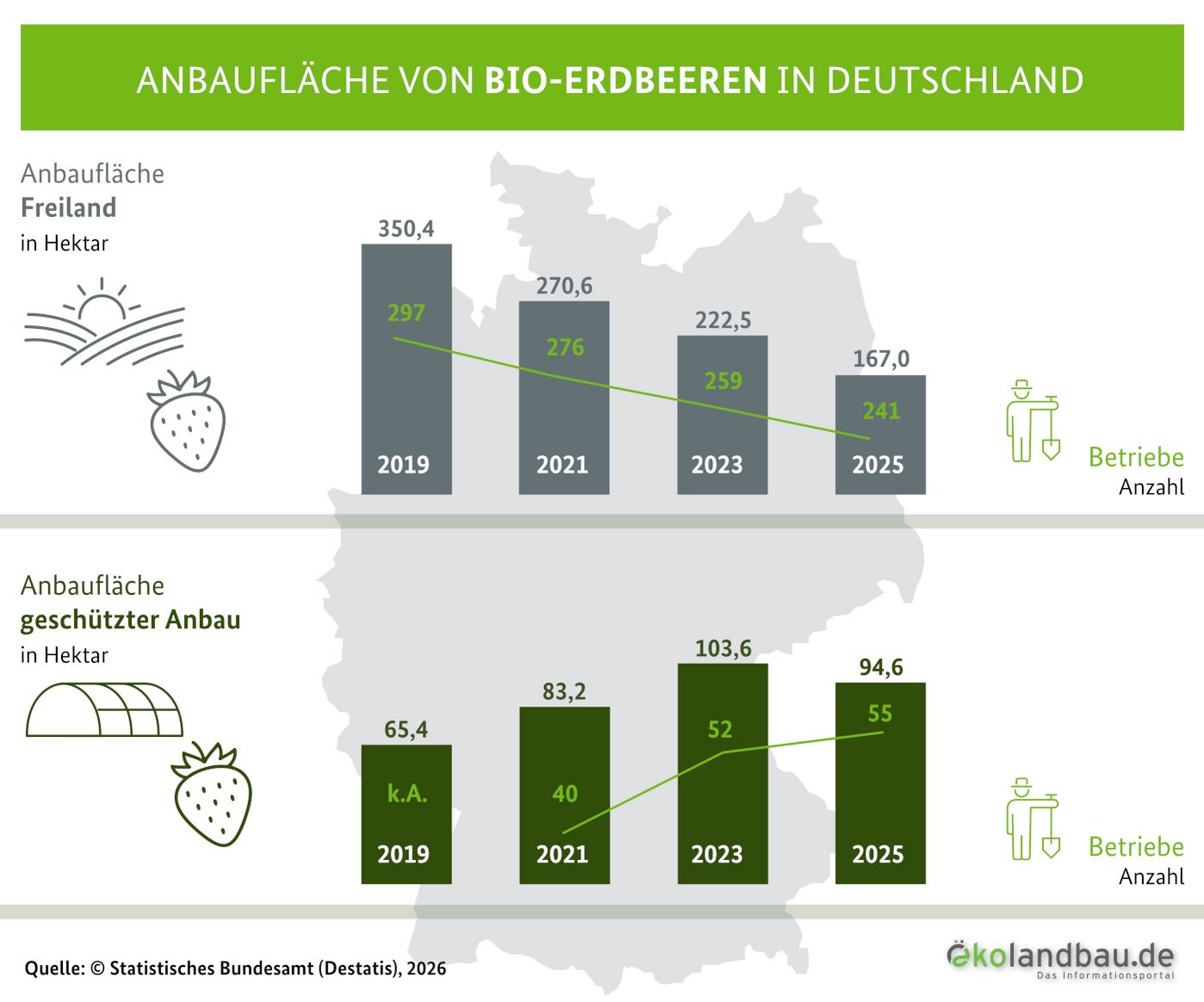 Grafik Anbaufläche und Anzahl der Betriebe für Bio-Erdbeeren in Deutschland.