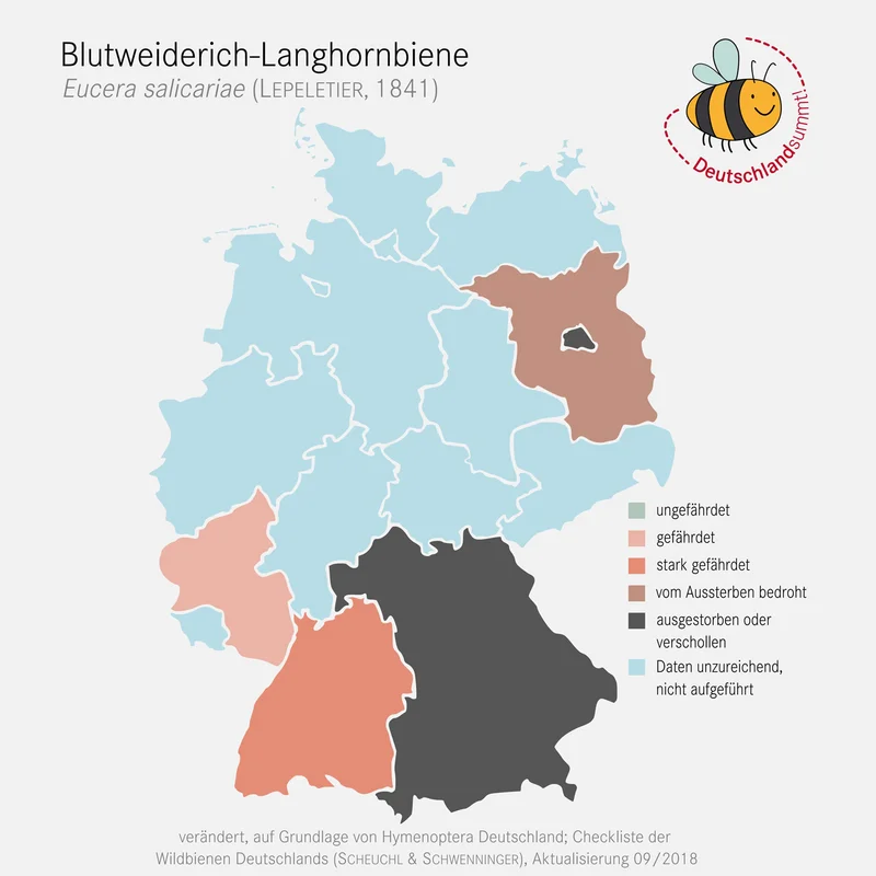 Grafik der Verbreitungskarte der Blutweiderich-Langhornbiene. Klick führt zu Großansicht in einer Lightbox. Zum Schließen der Lightbox ESC drücken.