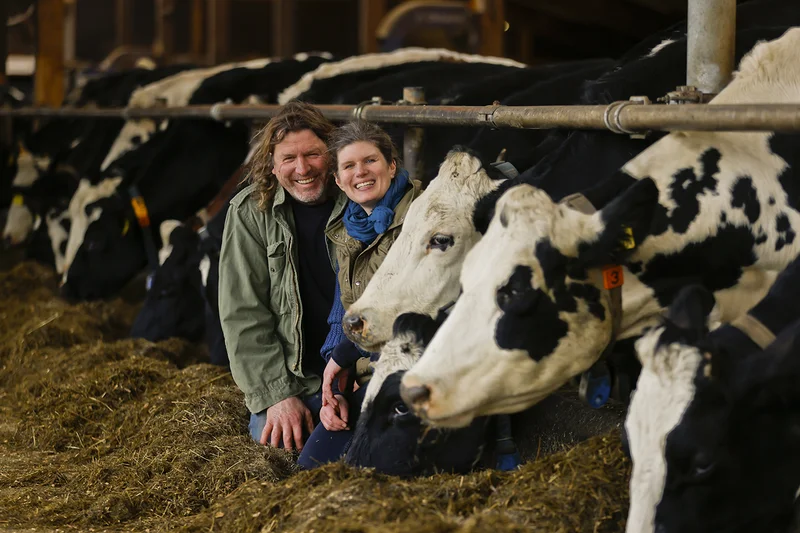 Kerstin und Peter Doppstadt sitzen im Kuhstall bei den Kühen