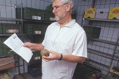 Ein Mann in einem Lagerraum. Er steht neben Kisten gefüllt mit Roter Bete. Er hält eine Rote Bete in der Hand, in der anderen hält er ein Stück Papier. Klick führt zu Großansicht.