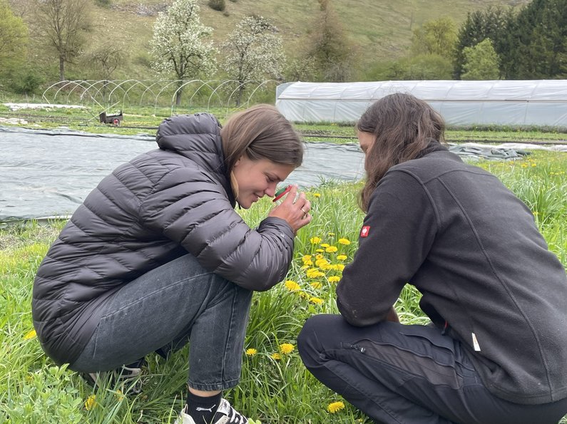 Zwei Auszubildende sammeln Insekten auf einer Wiese.