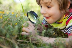 Warum Naturpädagogik so wichtig ist