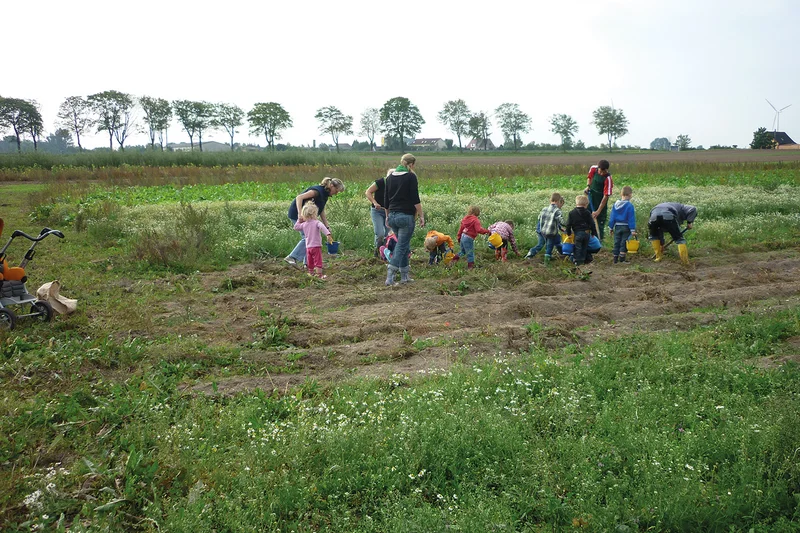 Junge und alte Menschen auf dem Feld