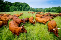 Biohof Düna
