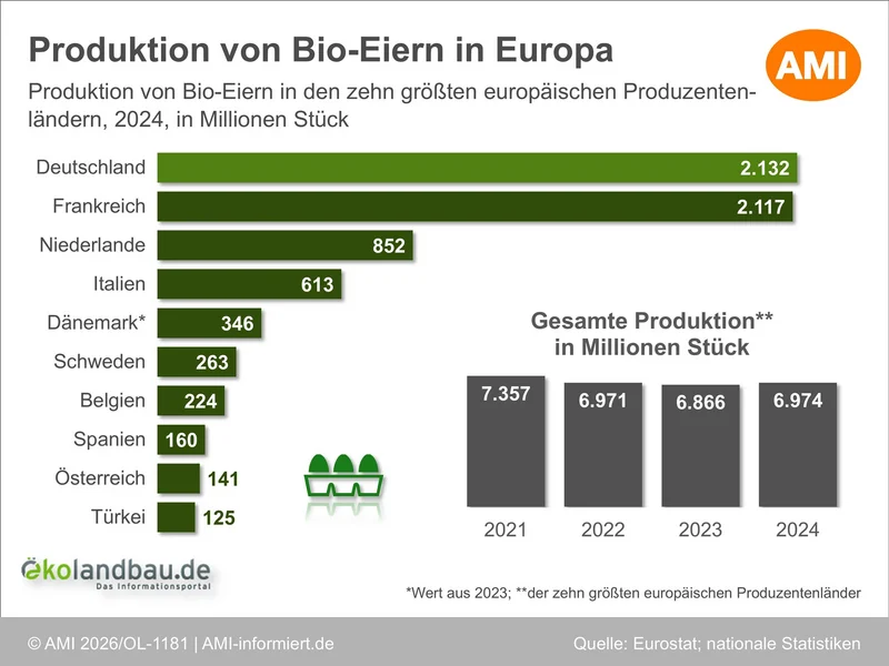 Balkendiagramm zur Bio Eierproduktion in Europa 2024 mit Deutschland und Frankreich als größten Erzeugern sowie Entwick-lung der Gesamtproduktion der dargestellten Länder von 2021 bis 2024. Klick führt zu Großansicht in neuem Fenster.