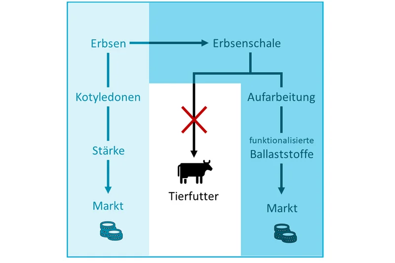 Schematische Darstellung der Verwertung von Erbsen. Klick führt zu Großansicht in neuem Fenster.