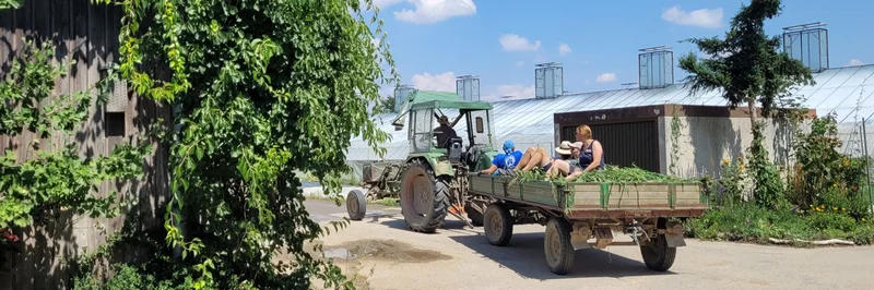 Traktor mit Anhänger, auf dem Menschen sitzen, fährt um die Ecke.