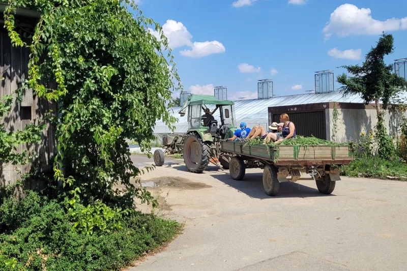 Traktor mit Anhänger, auf dem Menschen sitzen
