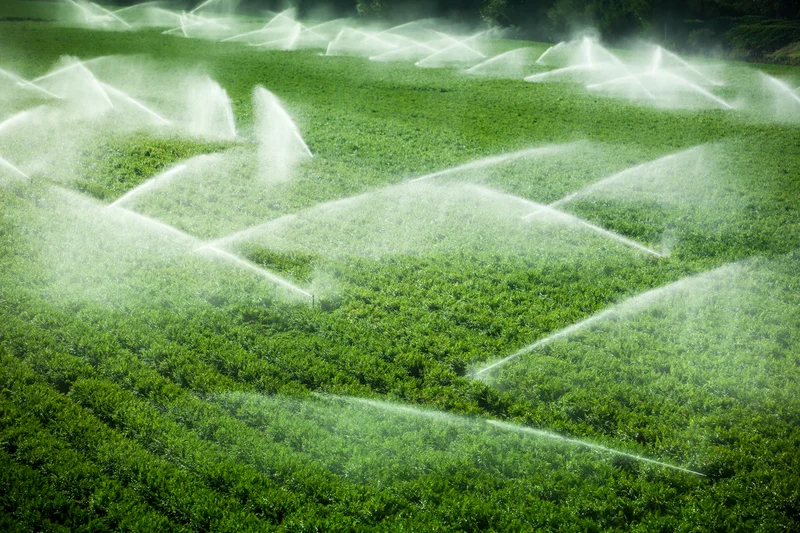 Laufende Bewässerungsanlagen auf einem Feld. Klick führt zu Großansicht. 