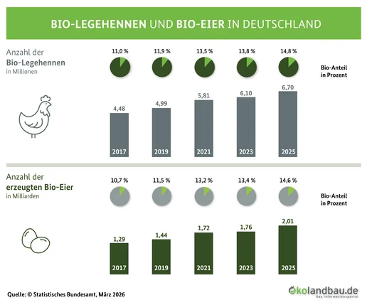 Anzahl der Bio-Legehennen und Bio-Eier in Deutschland in einem Balkendiagramm dargestellt. Klick führt zu Großansicht.