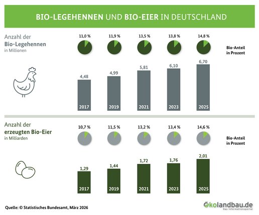 Anzahl der Bio-Legehennen und Bio-Eier in Deutschland in einem Balkendiagramm dargestellt. Klick führt zu Großansicht.