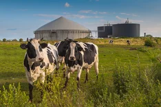 Gärreste aus Biogasanlagen