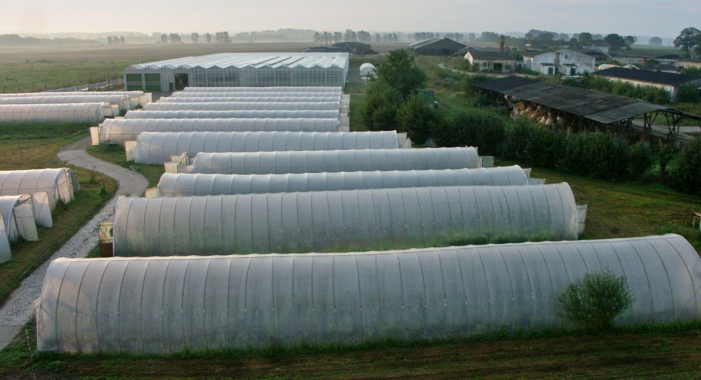 Folientunnel