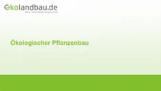 Ökologischer Pflanzenbau (für Kinder)