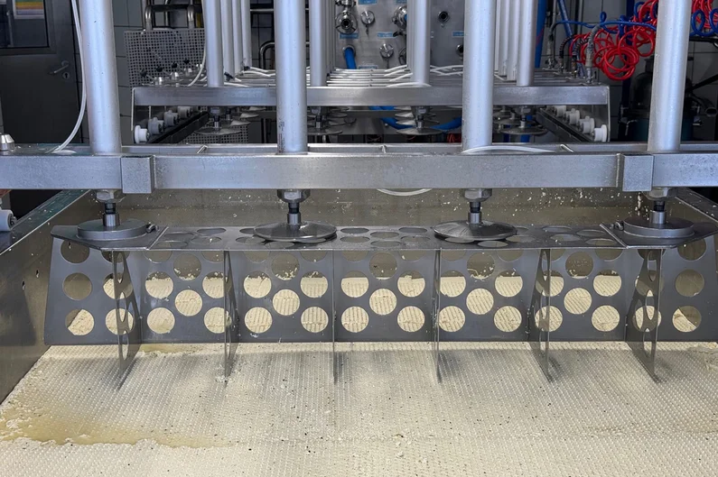 Schneidemaschine schneidet Käse in Blöcke.