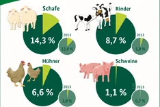 BZL-Infografik: Anteil der Öko-Tiere in Deutschland