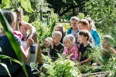 Kinderleicht gärtnern mit AckerRacker