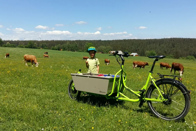 Kind steht hinter einem Lastenfahrrad auf einer Weide, im Hintergrund Kühe.