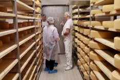 Wertschöpfungskette für Bio-Heumilch
