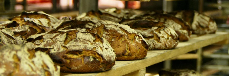 Regal bestückt mit Brotlaiben