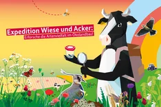 Schulwettbewerb ECHT KUH-L!